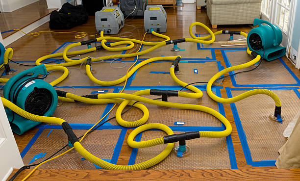 Professional Basement Flood Cleanup technician working in Cave Creek, AZ